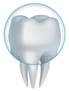 dentalcrown